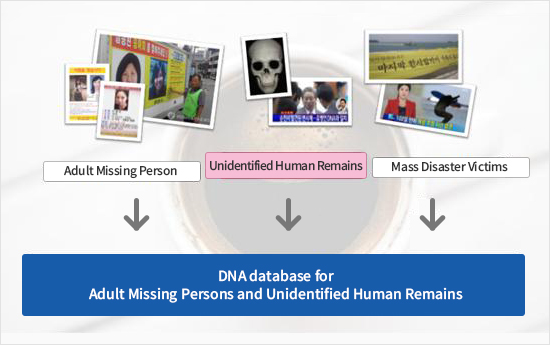 신원불상변사자의 신원확인과 미해결사건의 수사에 기여할 수 있는 다양한 DNA정보의 발굴과 법과학적 적용 사진