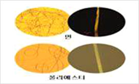 편광현미경을 통한 미세증거물의 형태분석2