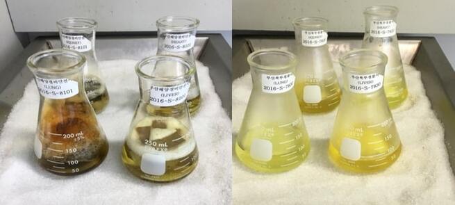 익사체에서 추가적 검사대상물을 이용한 플랑크톤 검사법 확립 및 DB 구축 사진1